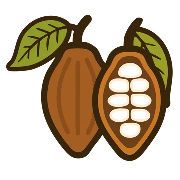 Cacao