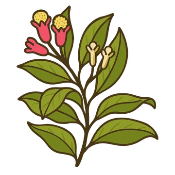 Cengkeh
