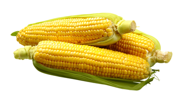 corn-360-1742880844690.webp