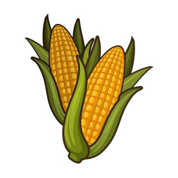Corn