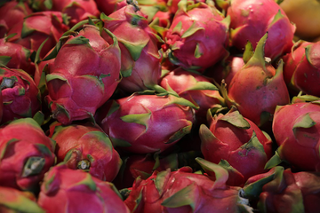 dragonfruit-360-1742882312682.webp