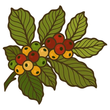 Kopi