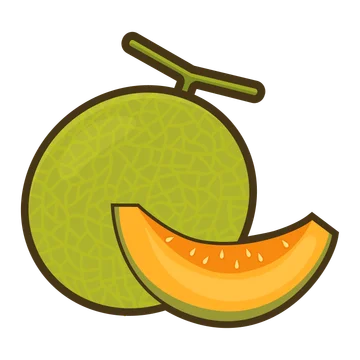 melon-360-1752490040548.webp